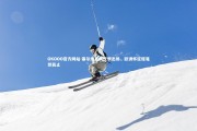 OKOOO官方网站-塞尔维亚队饮恨出局，欧洲杯征程戛然而止